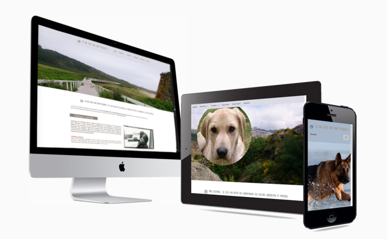 Création de site Responsite avec SEO national Création de site Responsite avec SEO national